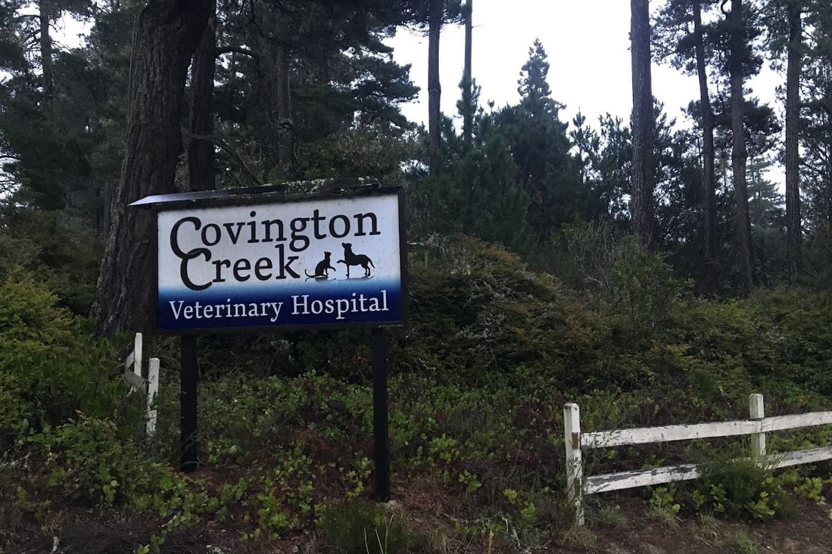 Covington Creek Veterinary Hospital