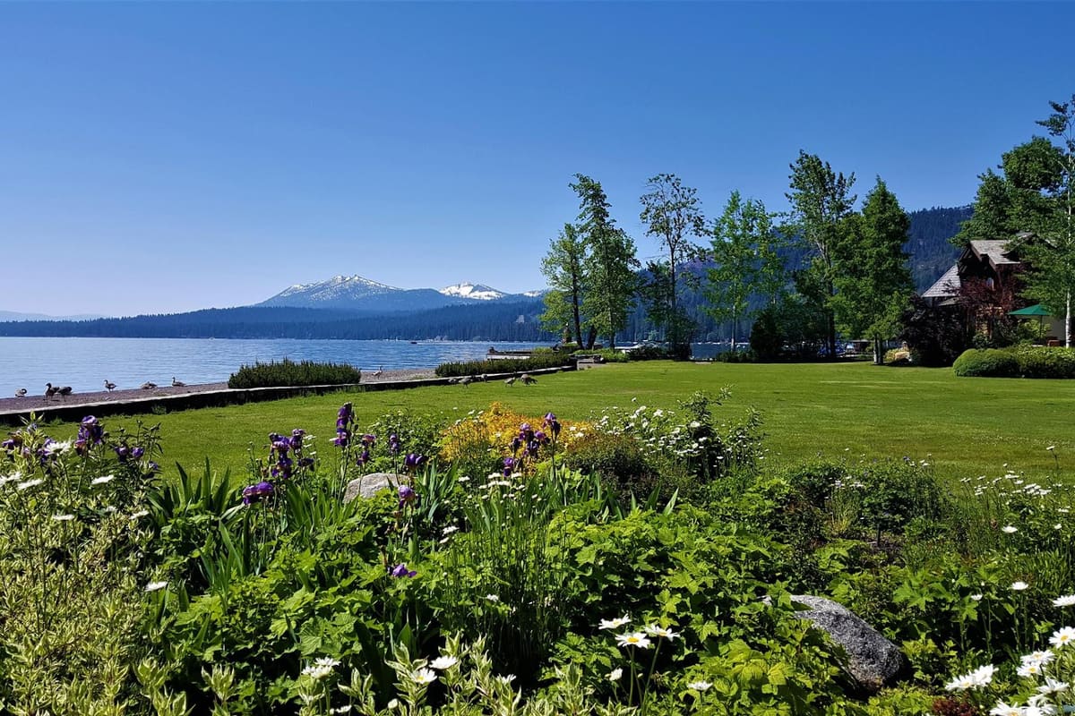 Dave Westall - Lake Tahoe Real Estate - Truckee Homes for Sale