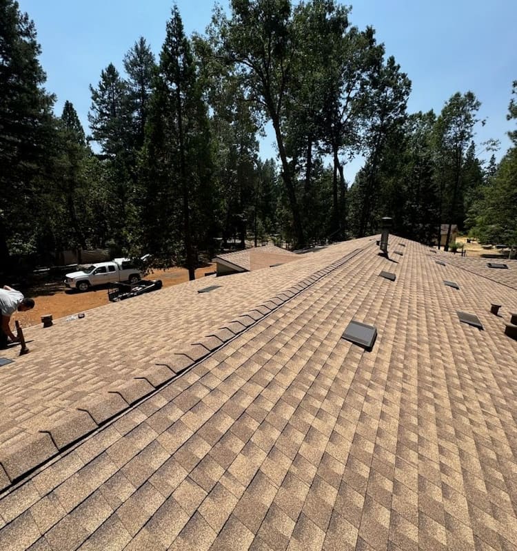 DB Roofing Solutions