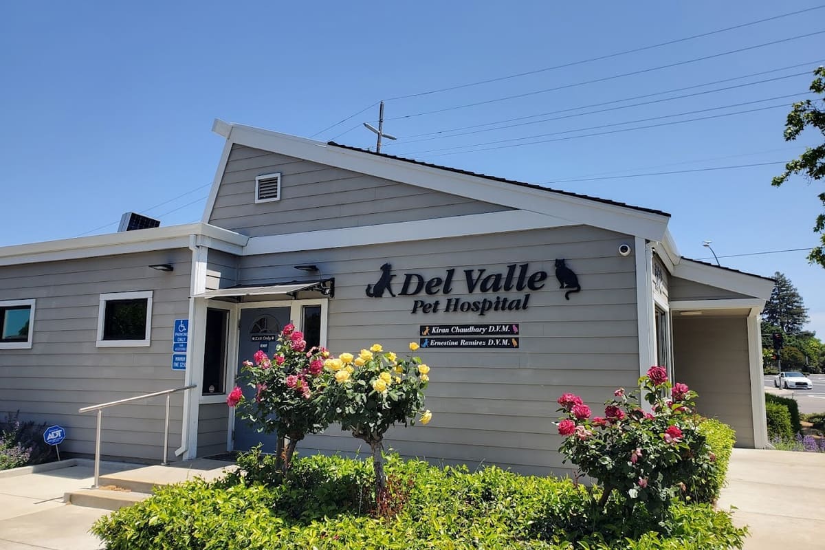 Del Valle Pet Hospital