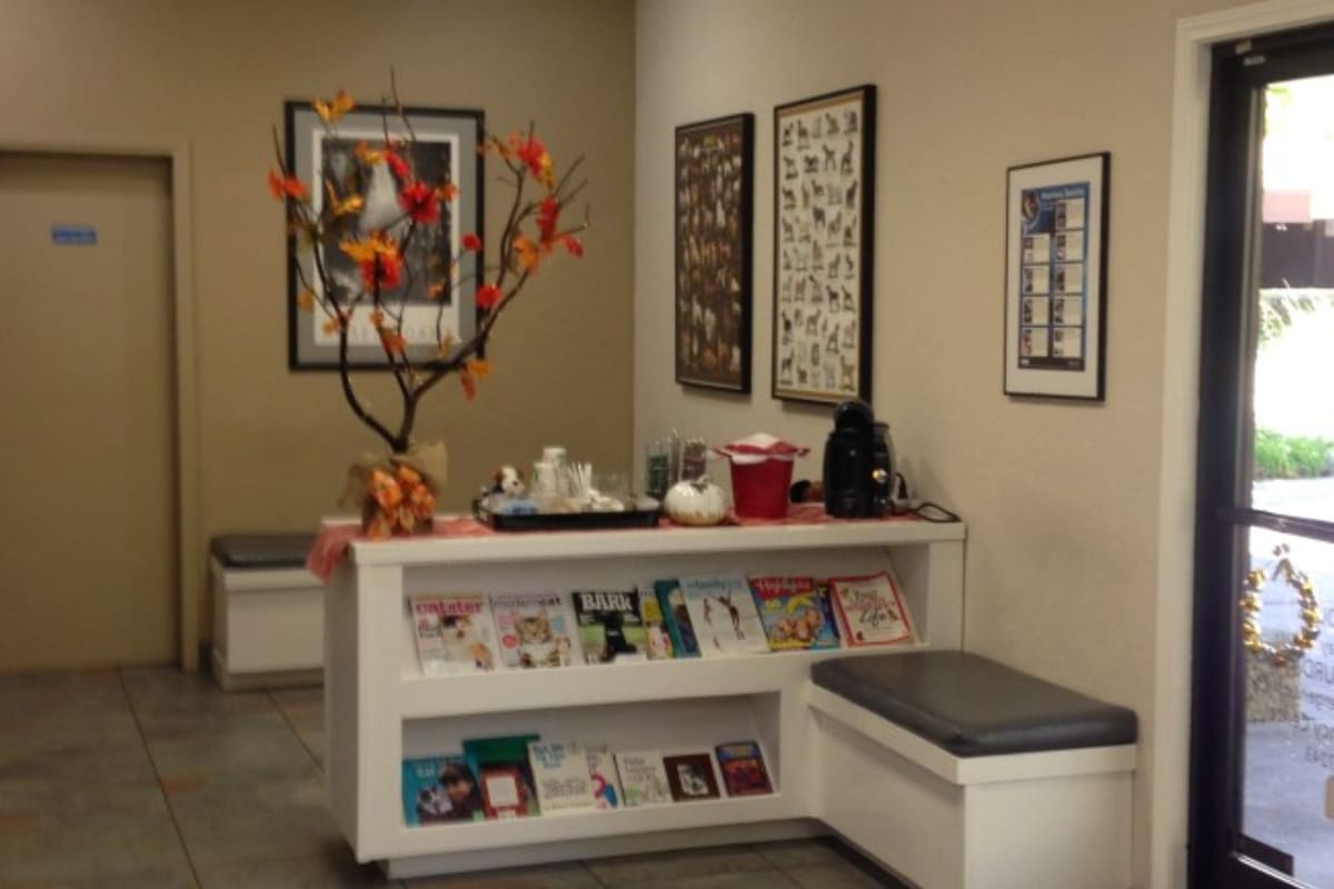 Diablo View Veterinary Medical Hospital