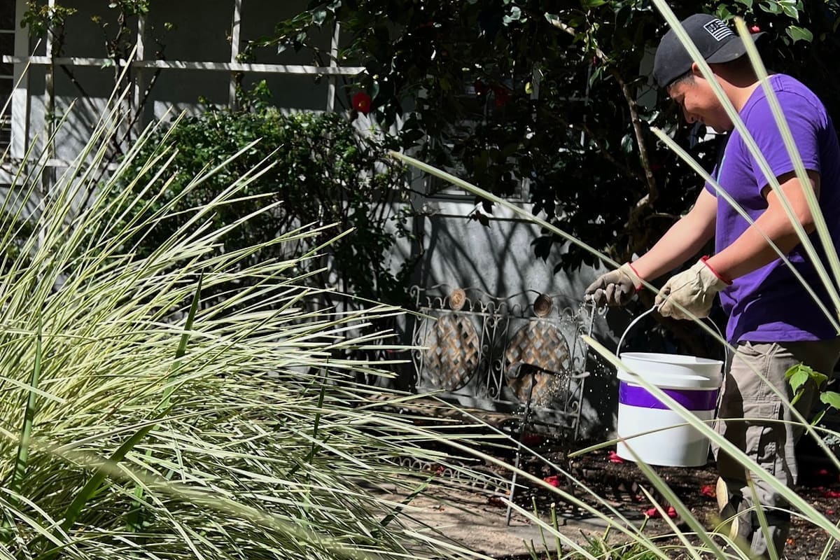 DOV Landscaping