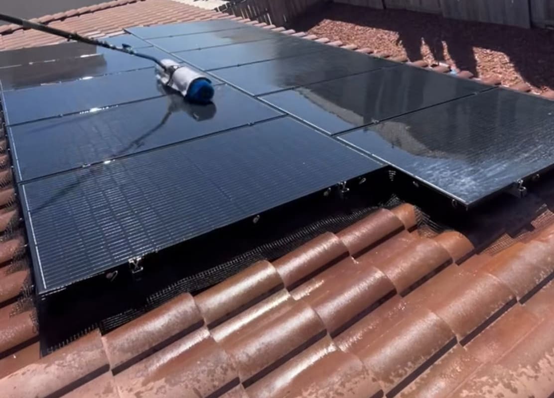 Dowd Solar Netting and Cleaning