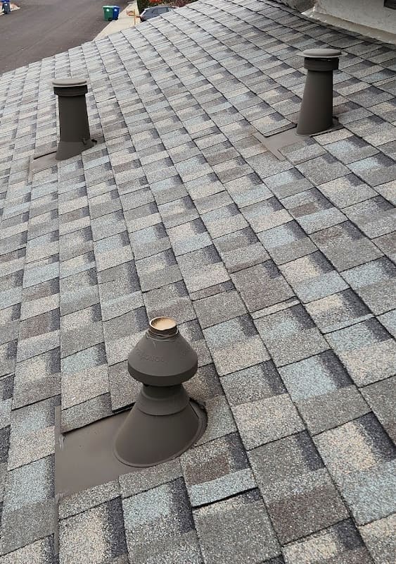 Dynasty Roofing Inc