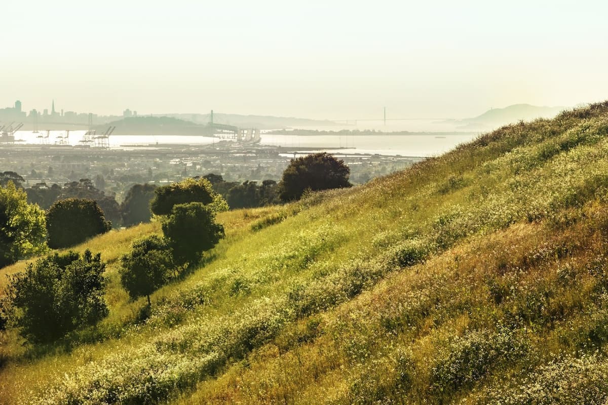 East Bay Family Law & Mediation PC