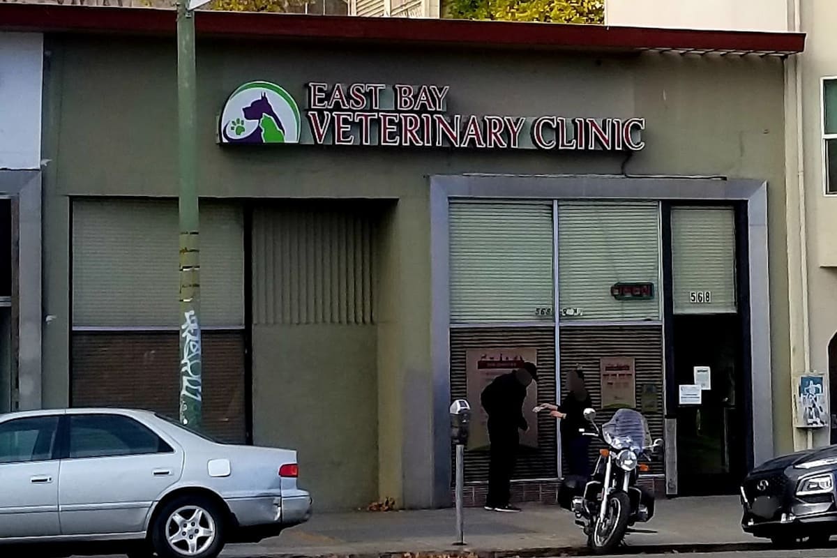 East Bay Veterinary Clinic