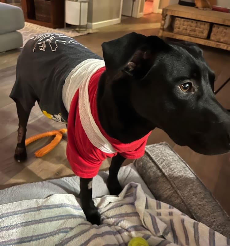 East Petaluma Animal Hospital