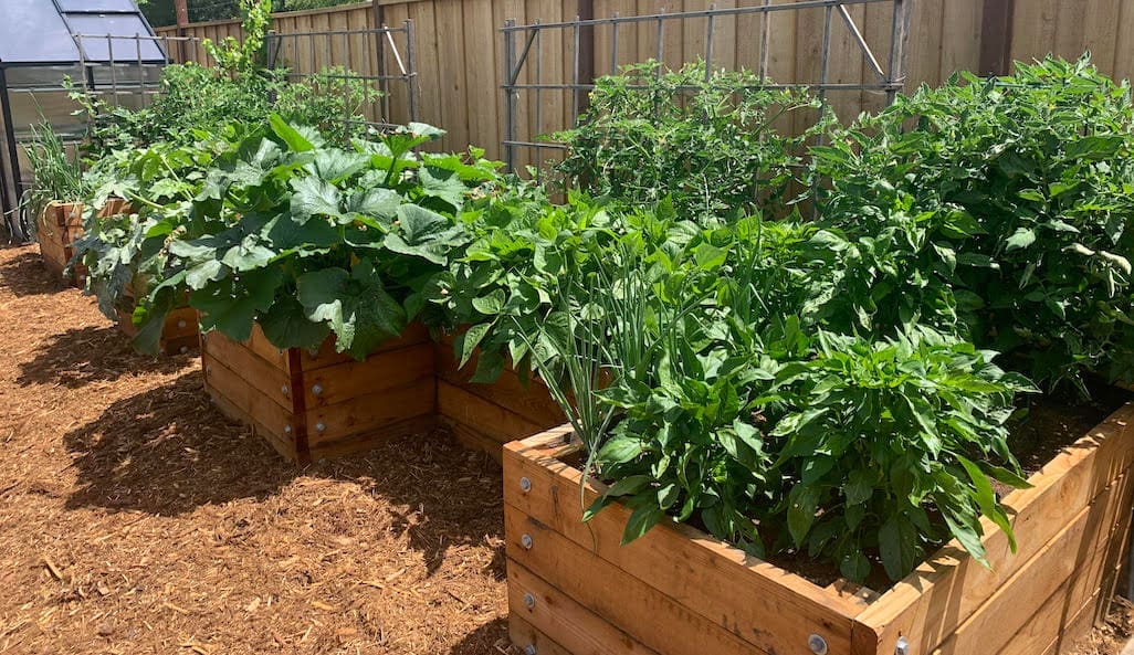 Edible Ecology Inc.