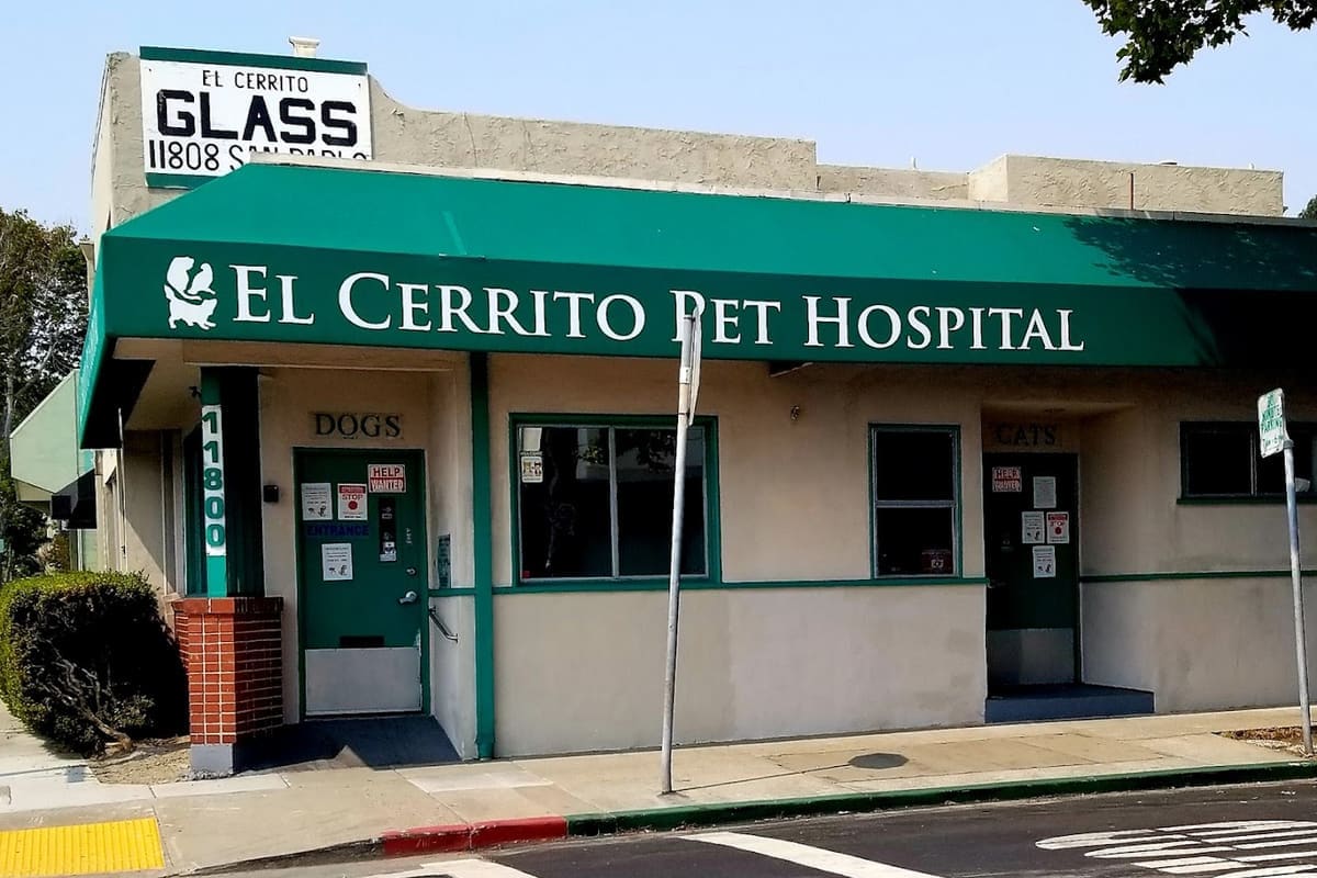 El Cerrito Pet Hospital