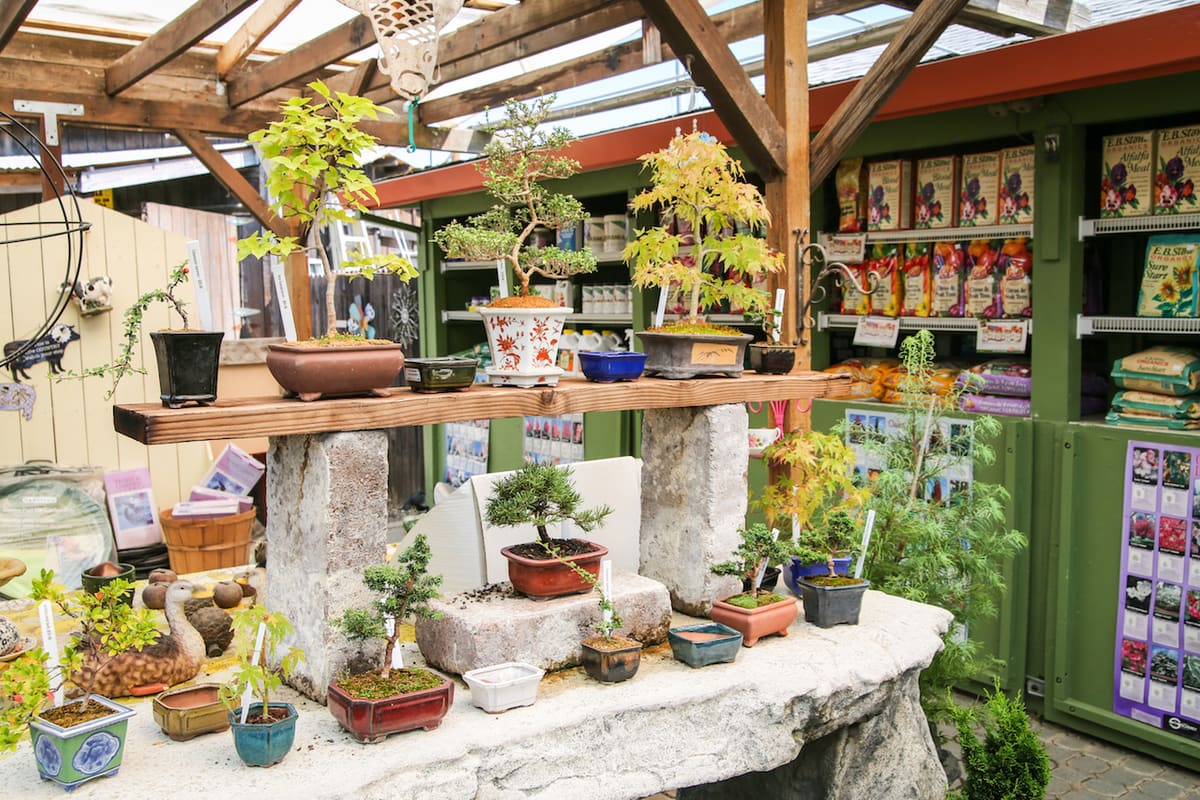 El Dorado Nursery & Garden Inc