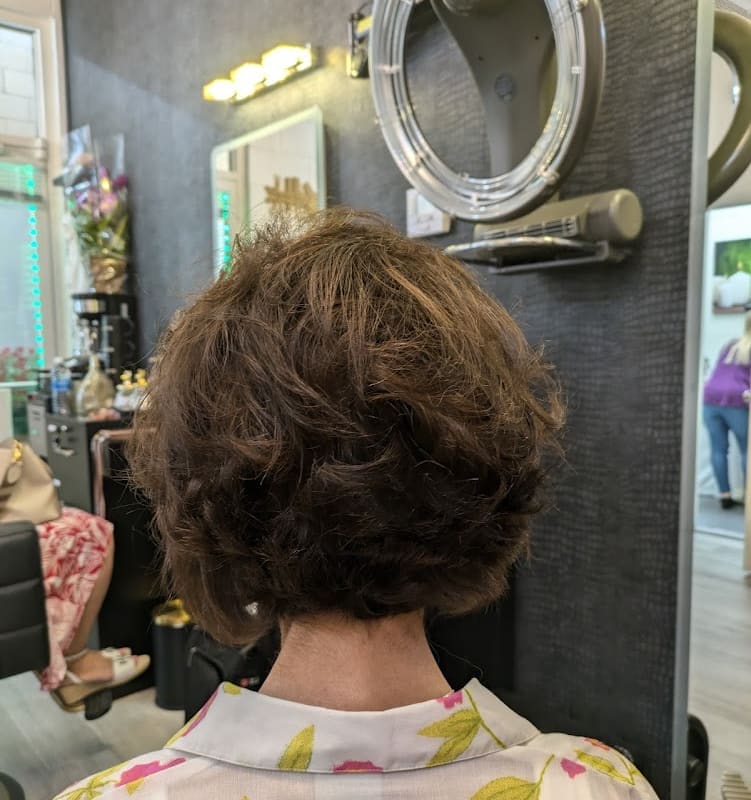 Elegant Hair Designs