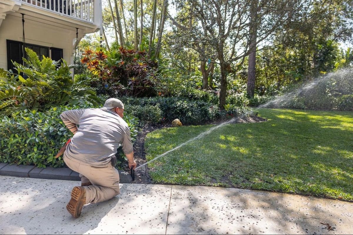 Elevation Landscaping Sacramento