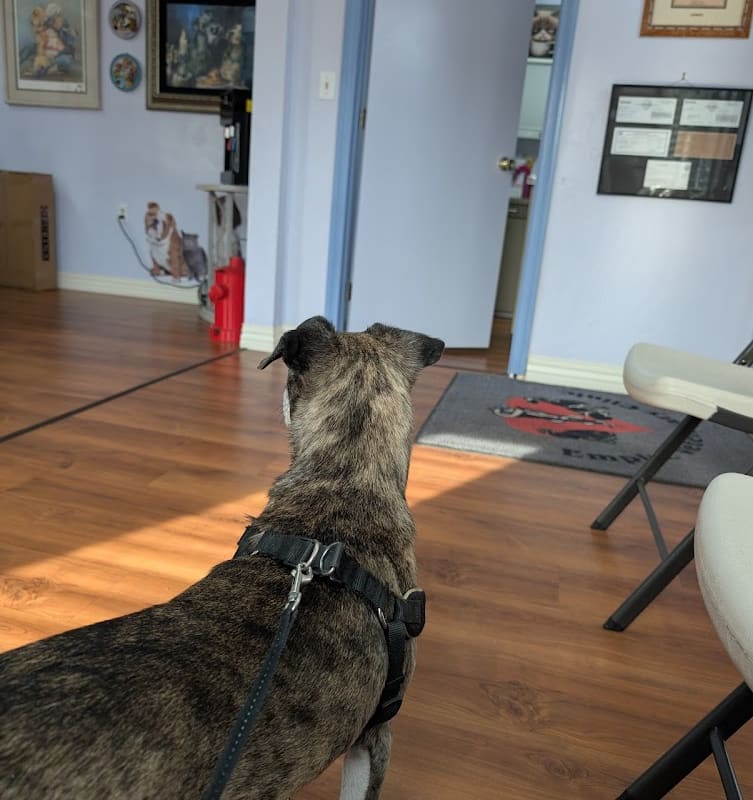 Empire Veterinary Clinic