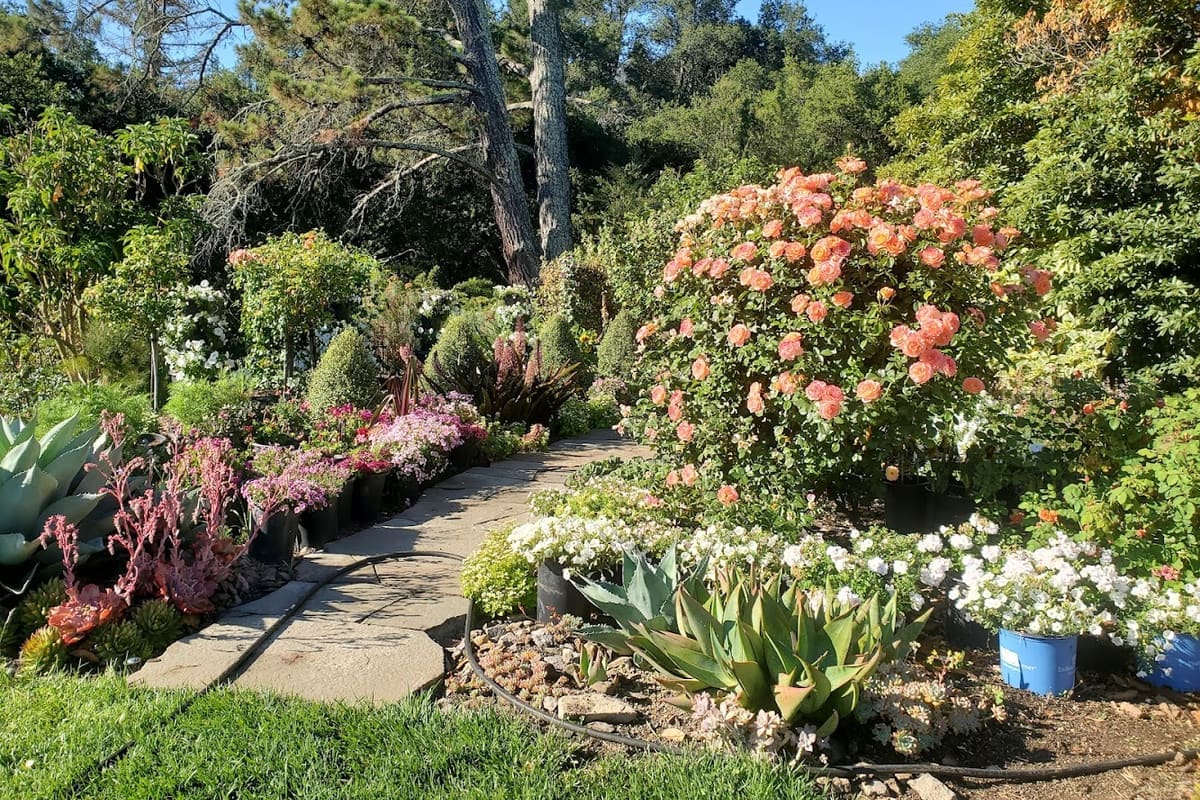 Enchanting Planting