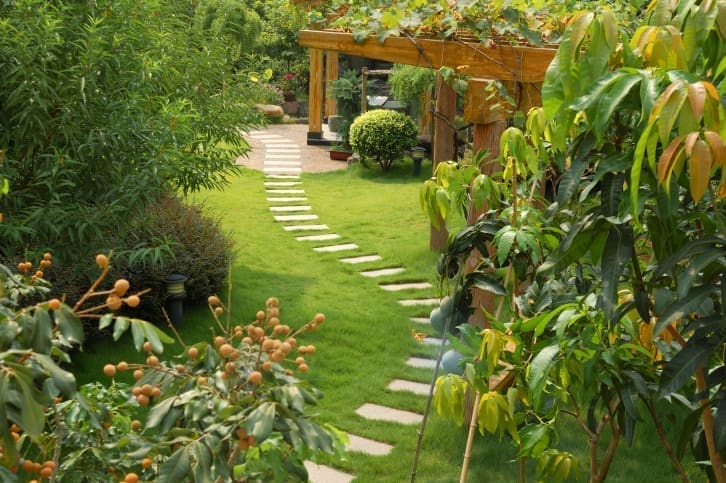 Erwin Gardens Care - Landscaping, Lawn Care and Gardening