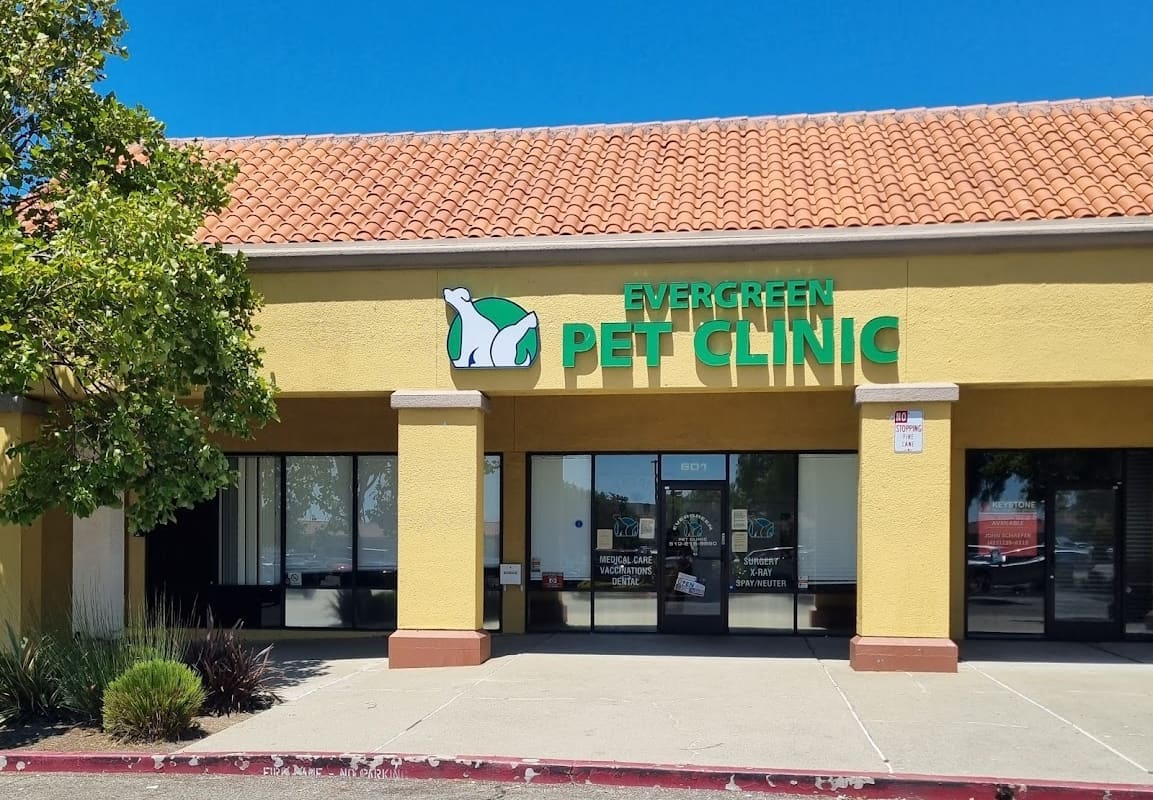 Evergreen Pet Clinic