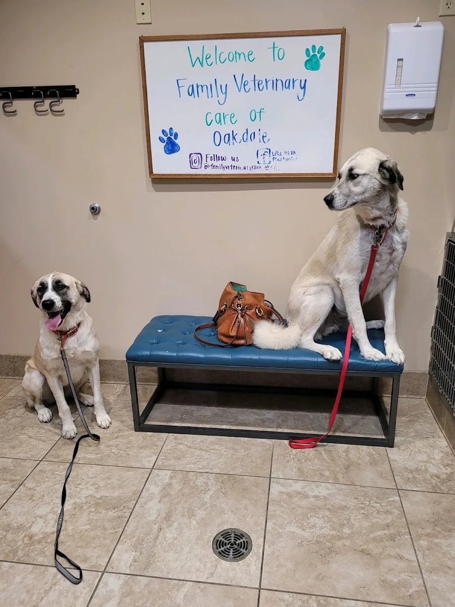 Family Veterinary Care of Oakdale — photo 6