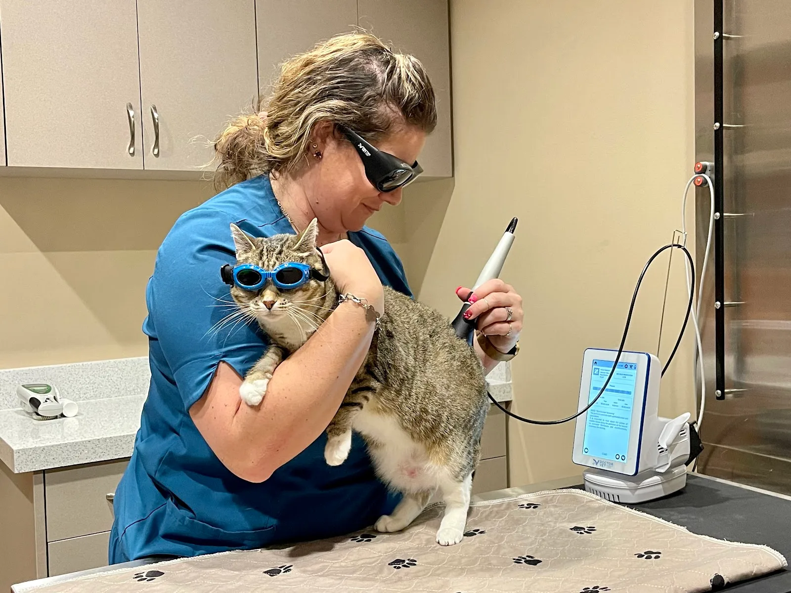 Family Veterinary Care of Oakdale — photo 8