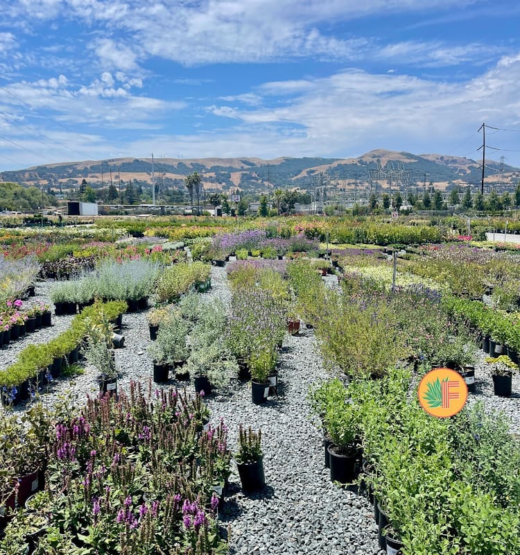 Farallon Gardens