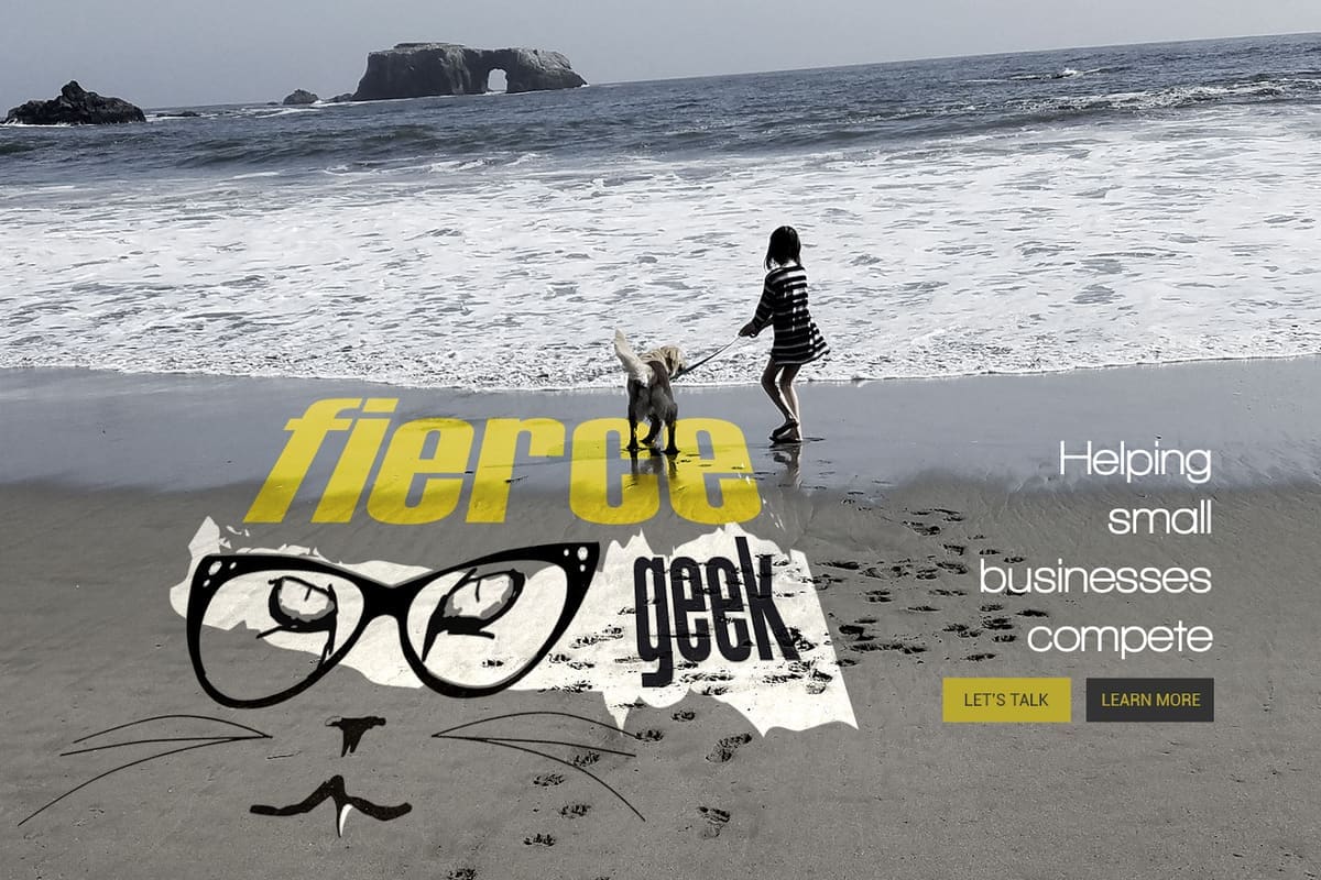 Fierce Geek