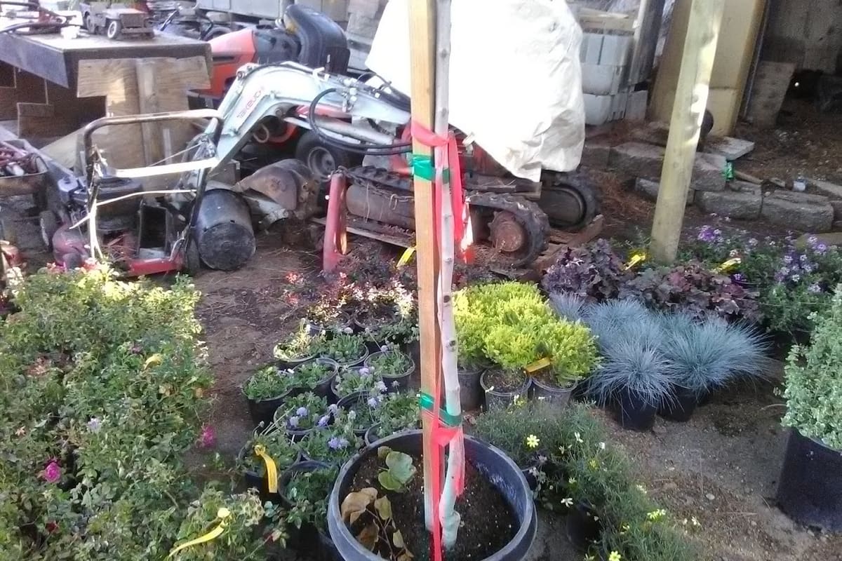 Figs Landscaping Inc