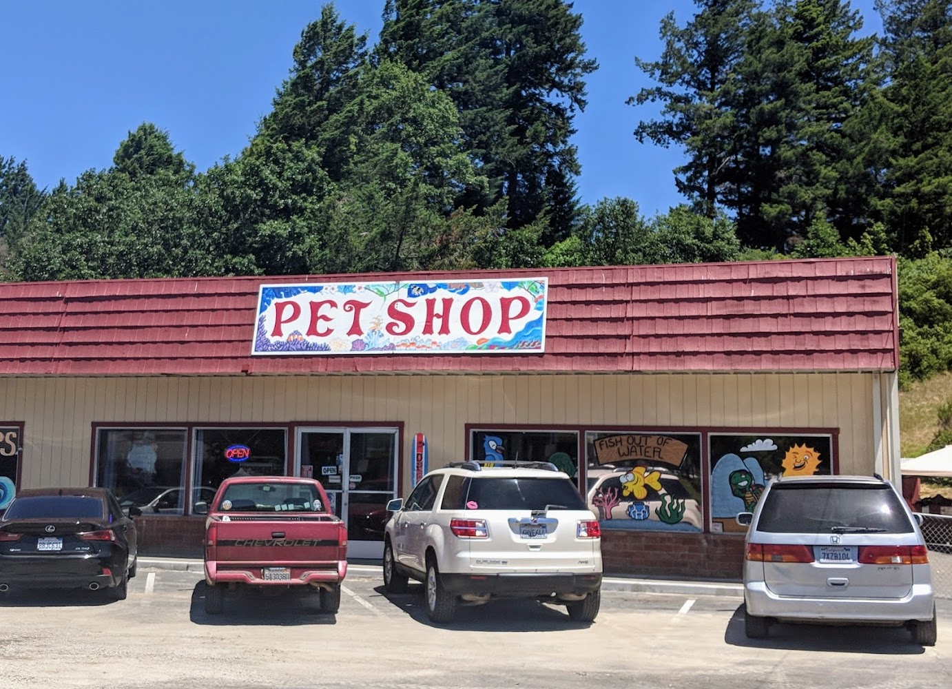 Fish Out Of Water — Water Softening in Willits, CA