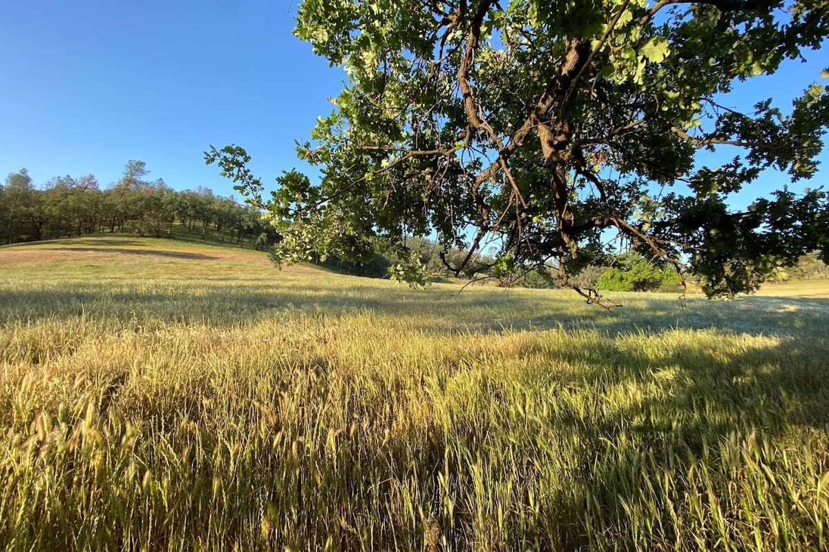 Forth Hoyt Real Estate, Cool Land and Homes - Cool, CA 95614