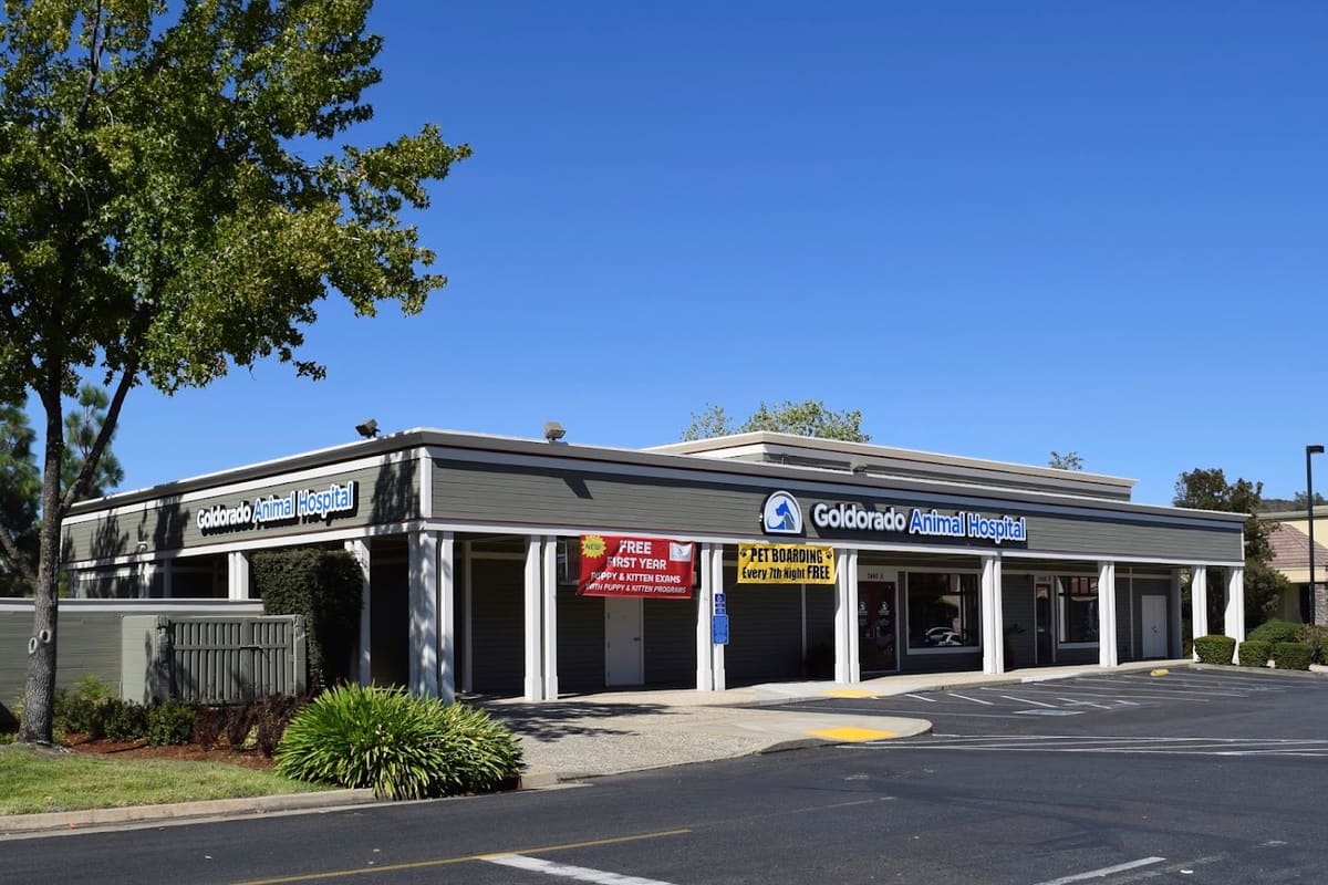 Goldorado Animal Hospital