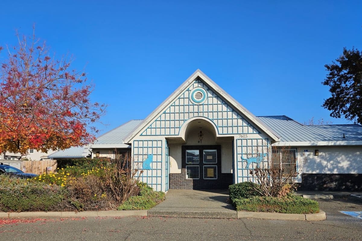 Hatton Veterinary Hospital