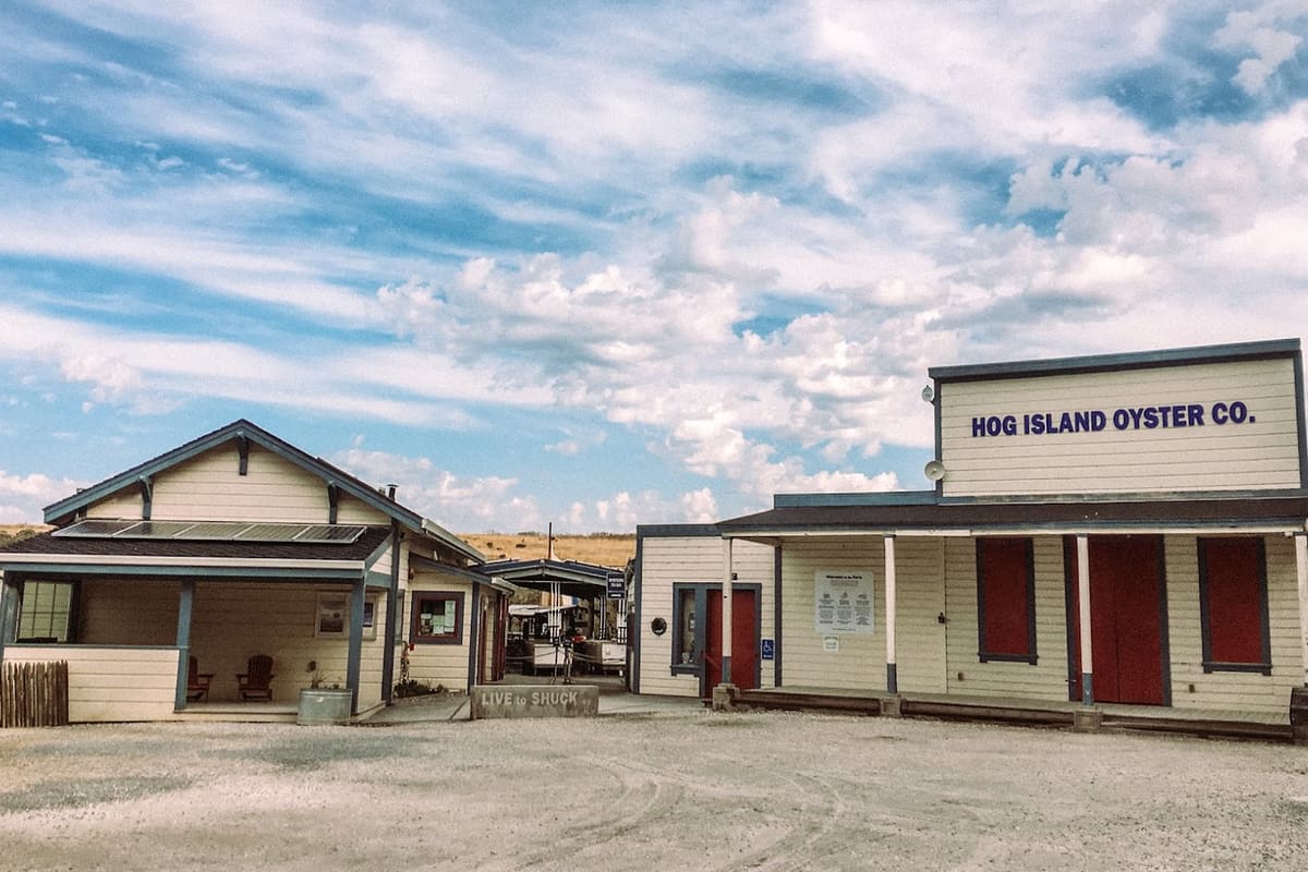 Hog Island Oyster General Store