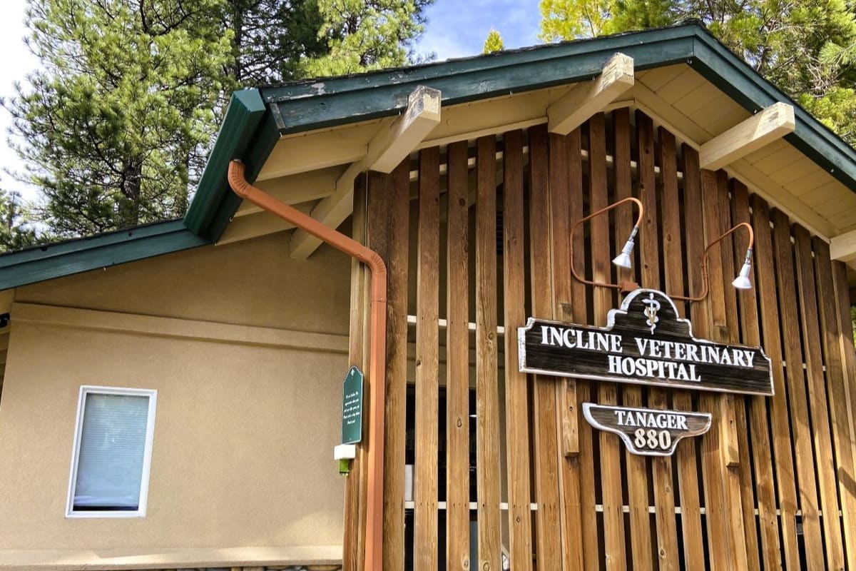 Incline Veterinary Hospital