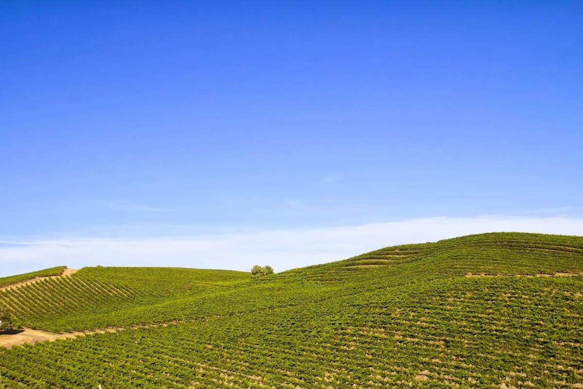 InnoVision SEO & Marketing - Petaluma
