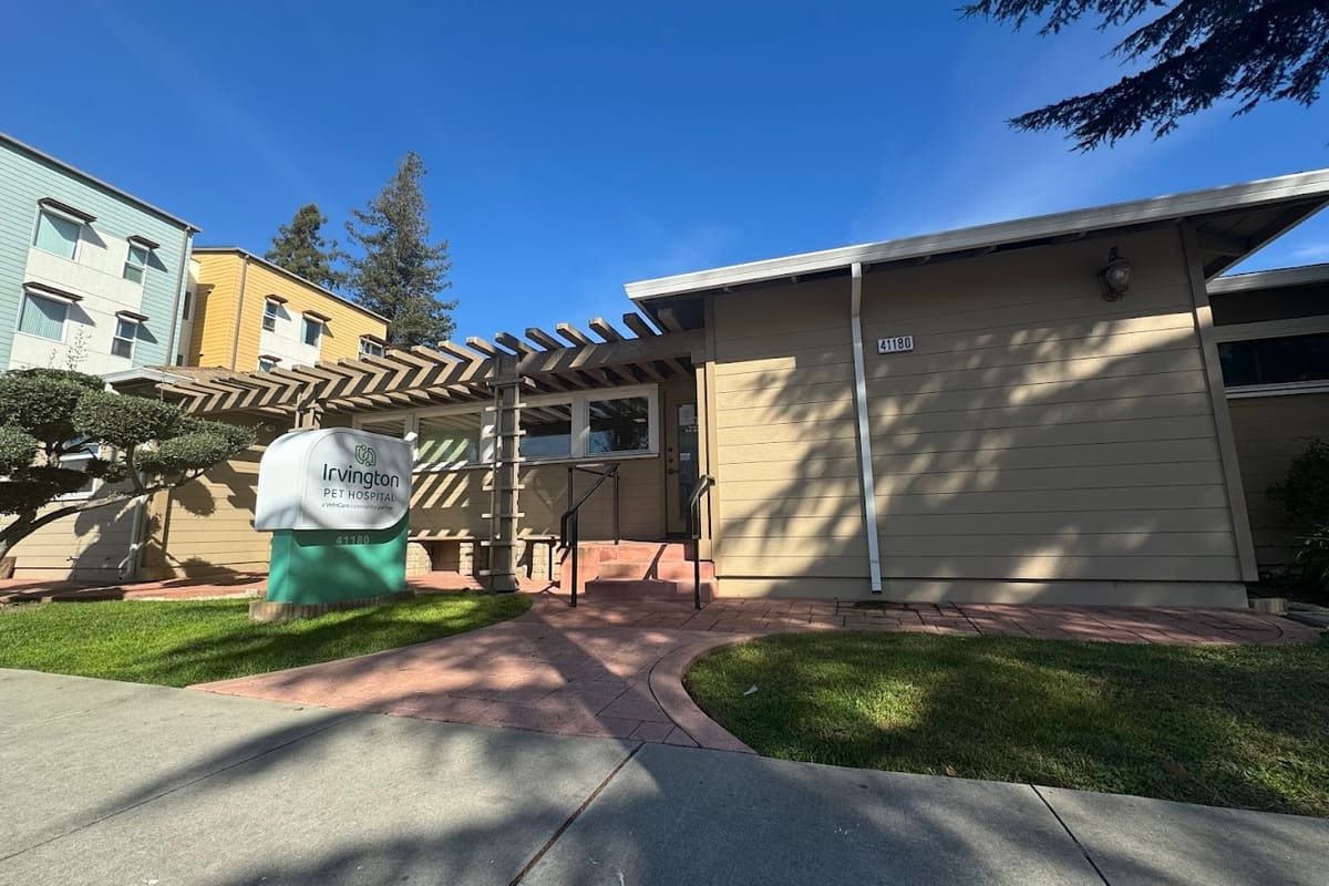 Irvington Pet Hospital
