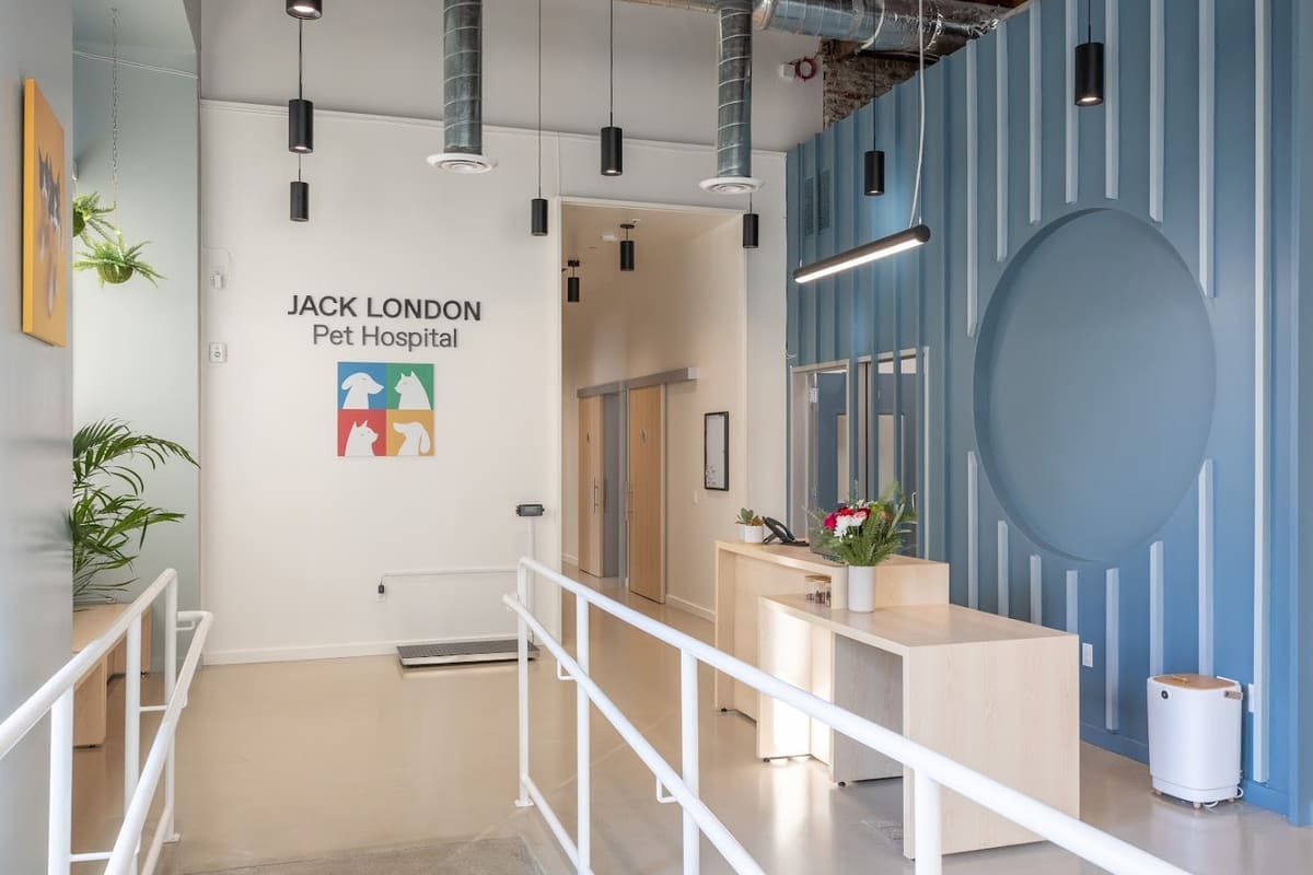 Jack London Pet Hospital
