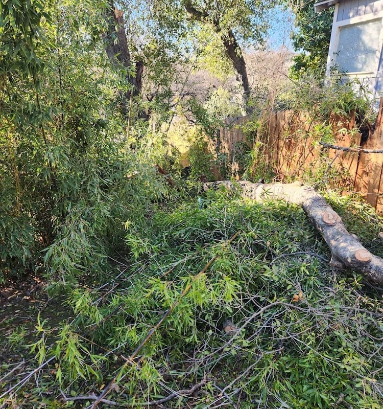 JC & RC Lawn Yard and Tree Service