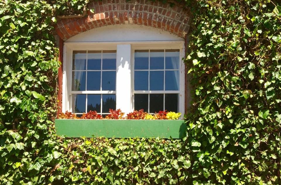 Jeff Likes Clean Windows and Gutters, Inc