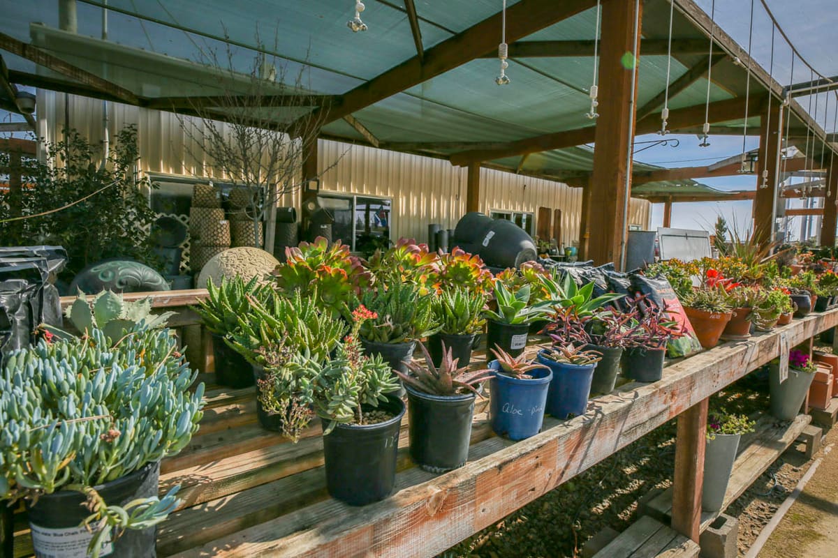 Joe's Landscaping & Concrete, Inc.