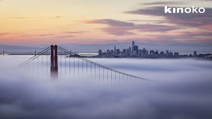 Kevin & Nini Gueco | Kinoko Real Estate | San Francisco Realtors