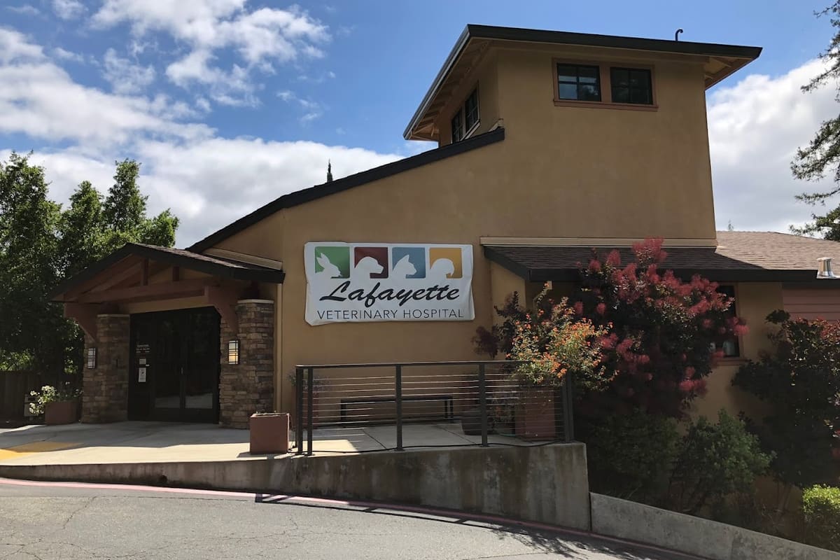 Lafayette Veterinary Hospital