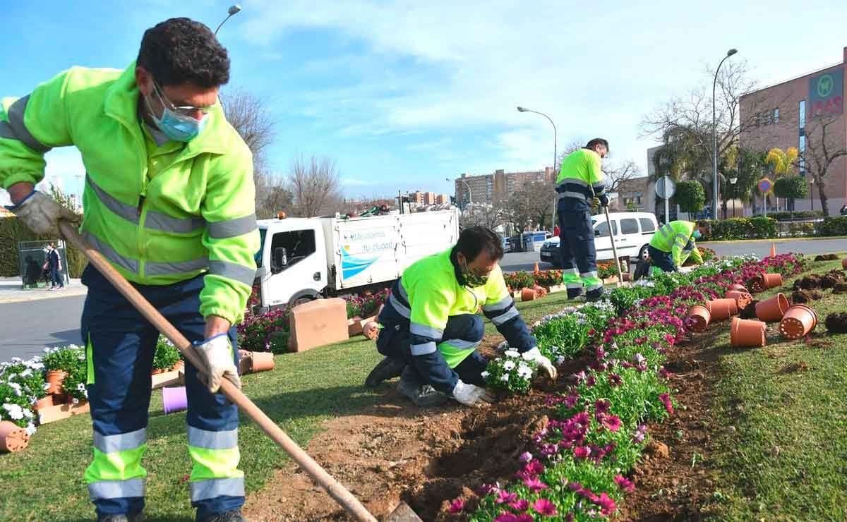 Landscaping Ramos