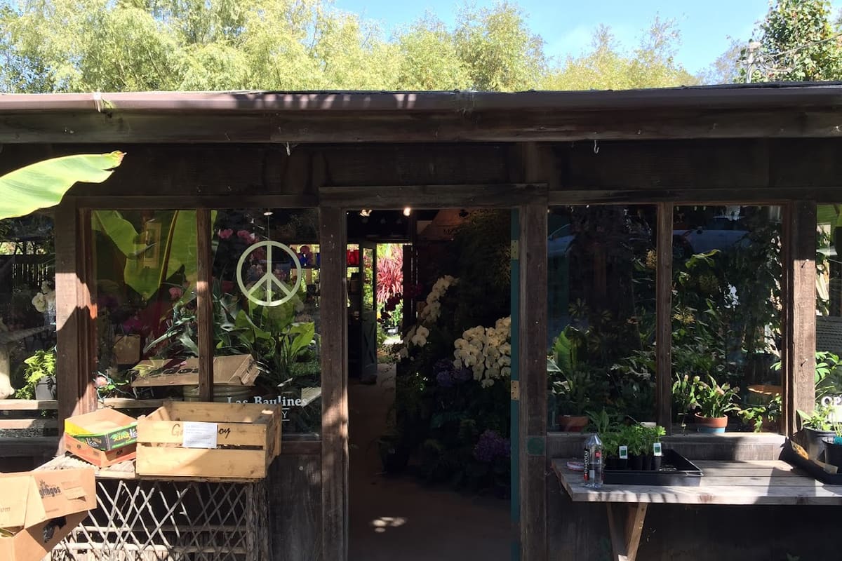Las Baulines Nursery
