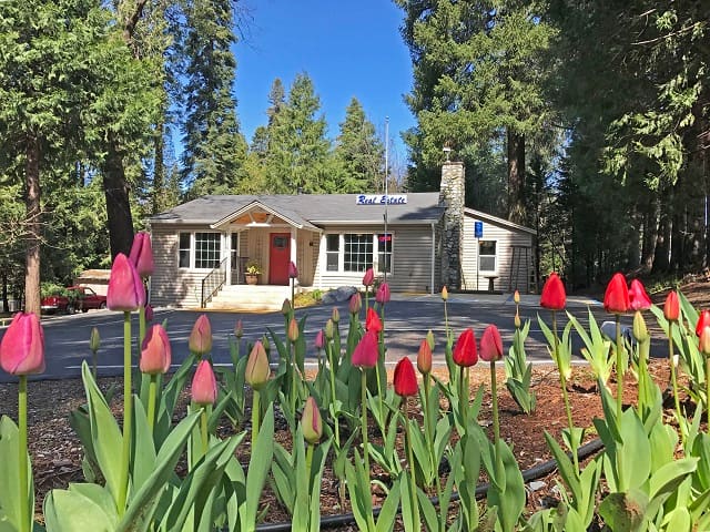 Lauralee Green ~ Z Group Real Estate