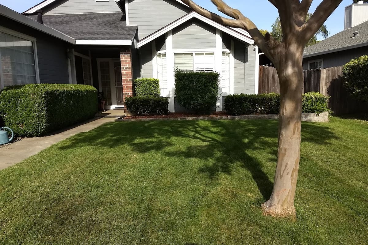 Leanne Ridley -LPT REALTY - DRE#01878922