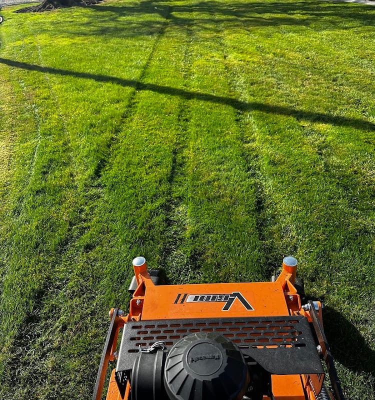 Ledesma Lawn Maintenance