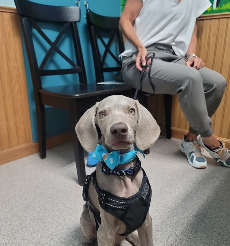 Livermore Family Pet Hospital