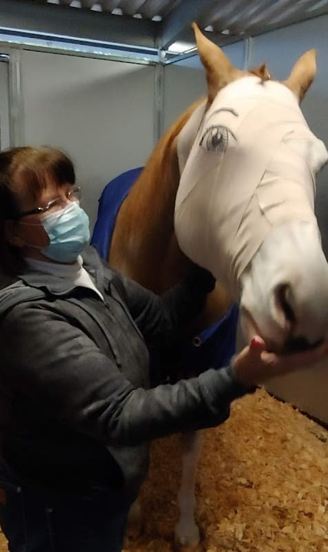 Loomis Basin Equine Medical: Stolba Diana DVM