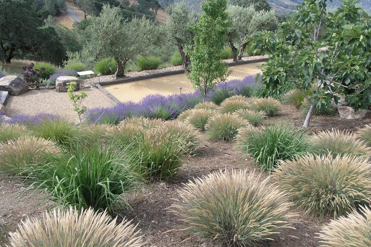 Lori Cagwin Landscape Architecture