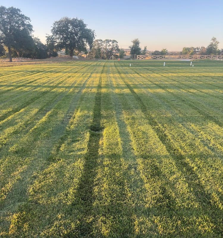Los Sanchez Grounds Management LLC