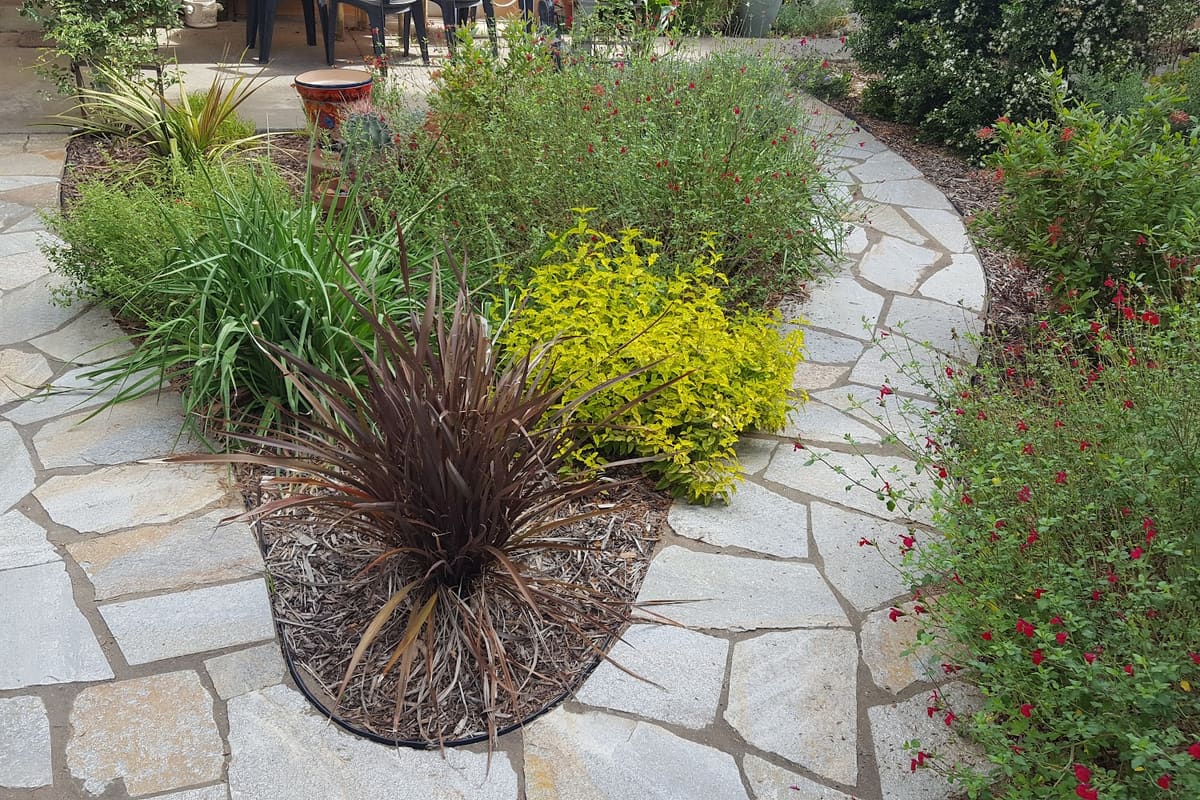 Machado Landscape & Maintenance