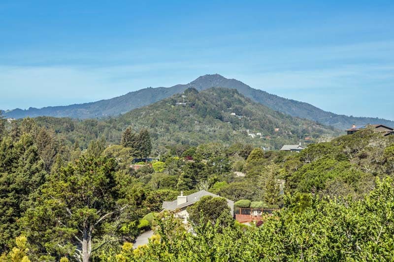 Madeline Schaider Real Estate
